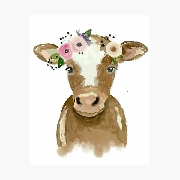 Cute Cow Two Photographic Print
