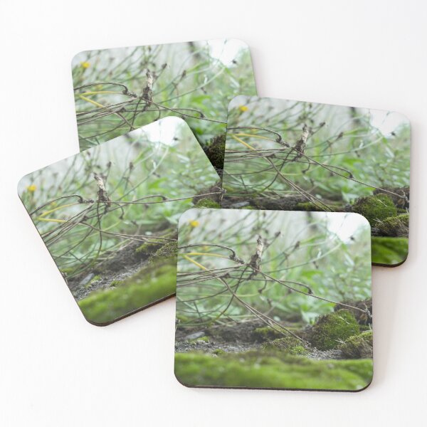 Item preview, Grasslands designed and sold by Jacko-2026.