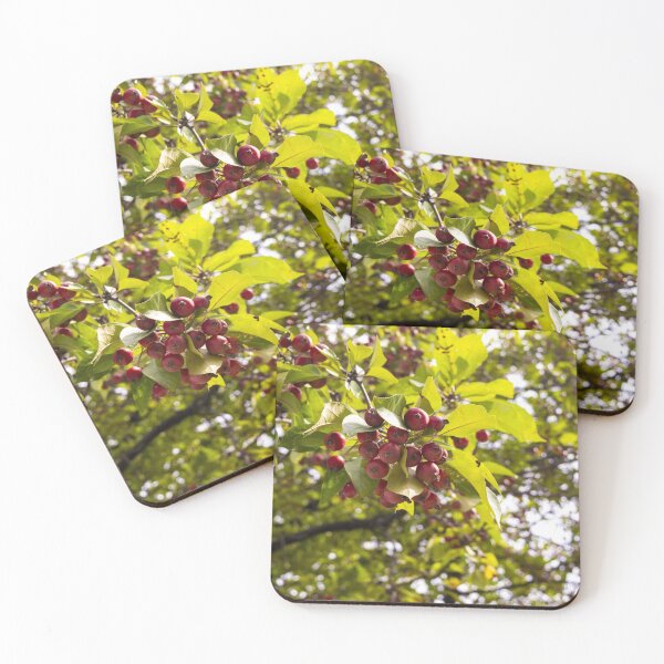 Item preview, Savoury Cherry  designed and sold by Jacko-2026.