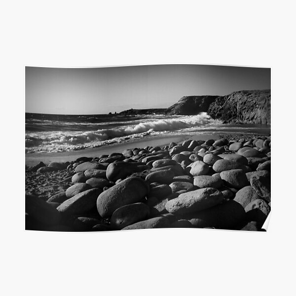 the wild coast Poster