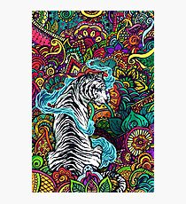 Der weiße Tiger Fotodruck