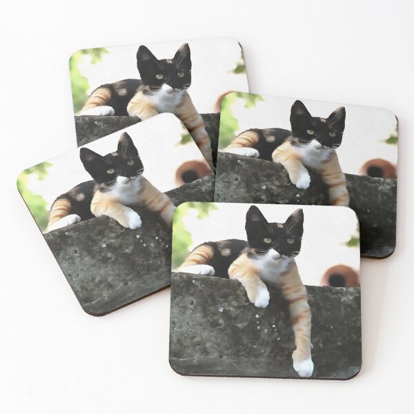 Item preview, Just Chillin Tricolor Cat Pet Portait designed and sold by taiche.