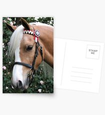Cherry Wood Oliver Twist Postcards