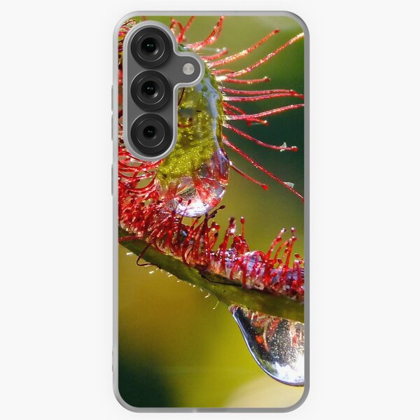 Item preview, Sundew H20 Macro designed and sold by Gabrielle  Lees.