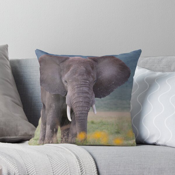 Item preview, African Bush Elephant (Loxodonta africana) designed and sold by Yair Karelic.