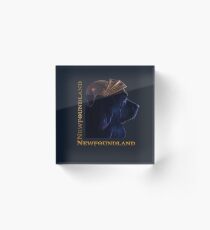 Viking Newf Acrylic Block