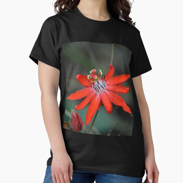 Item preview, passion flower Passiflora miniata designed and sold by Schoensl.