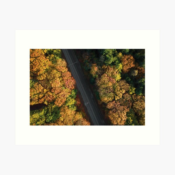Autumn Tracks Art Print