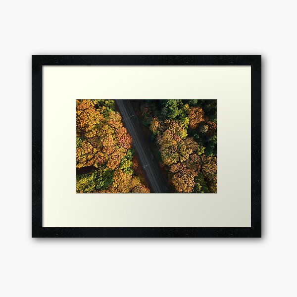 Autumn Tracks Framed Art Print