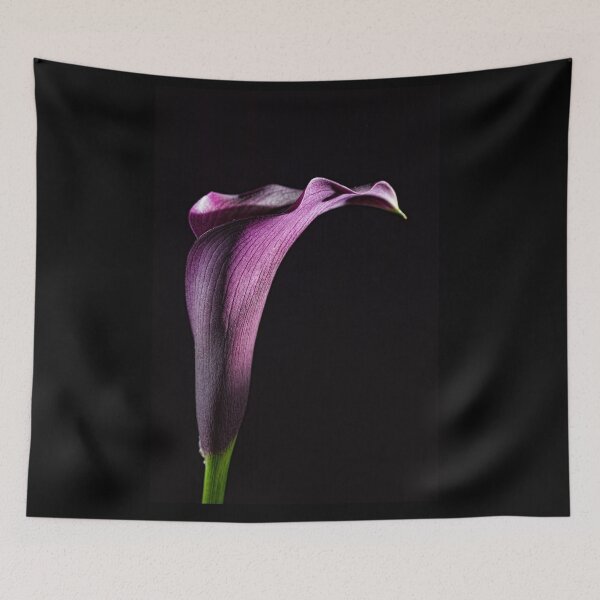 Item preview, Calla 2 designed and sold by Steve Purnell Photography.