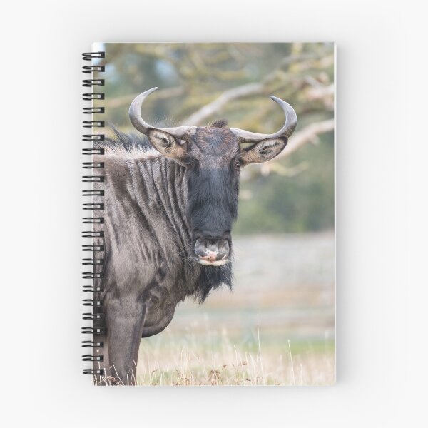 Item preview, Wildebeest looking straight at the camera designed and sold by LoisGoBe.