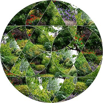 Artwork thumbnail, Scottish Summer Leaves And Flowers by Alternative Perspectives