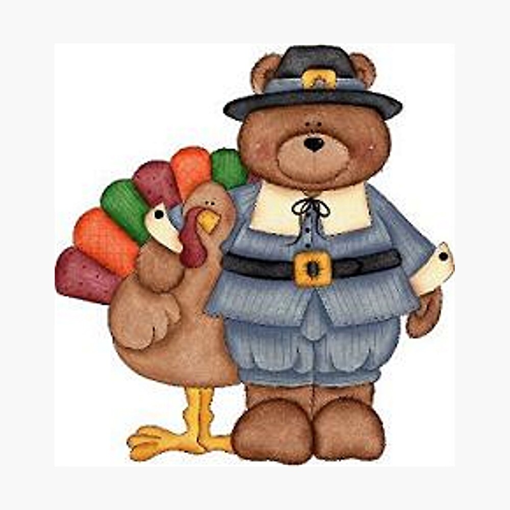 turkey teddy