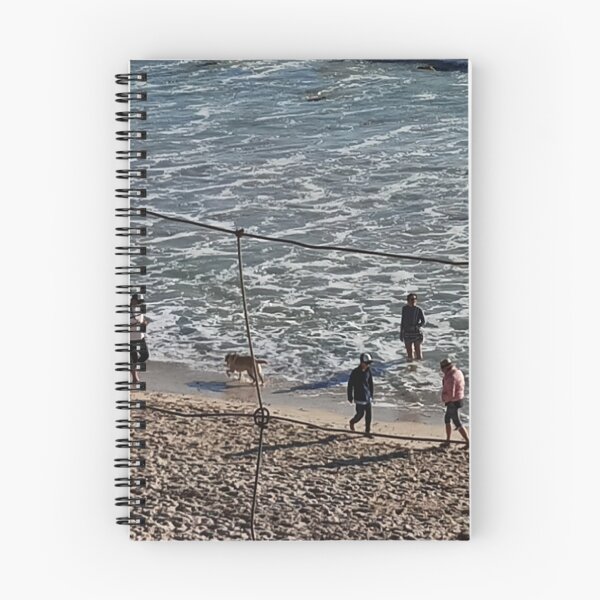 Item preview, Taking Air on Freemantle beach designed and sold by Asok Mukhopadhyay.