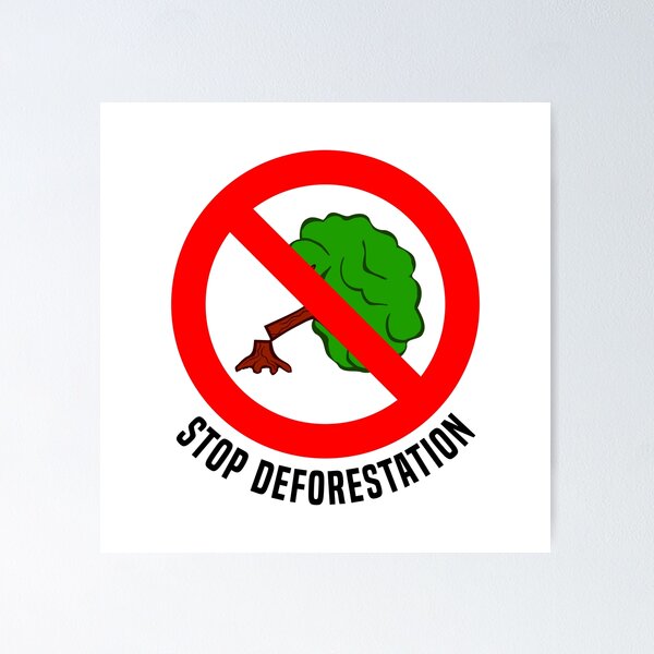 SAY NO TO DEFORESTATION