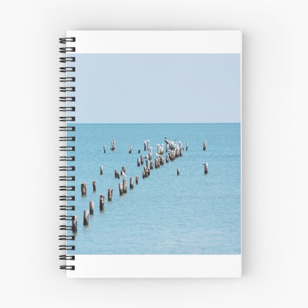 Aperçu de l'œuvre Vieux quai avec mouettes créée et vendue par John Batts.