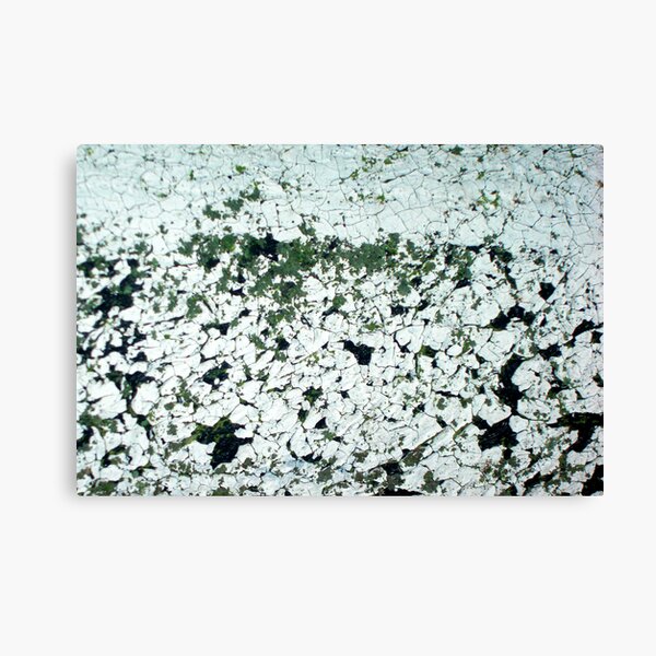 Melting Ice Cap Canvas Print