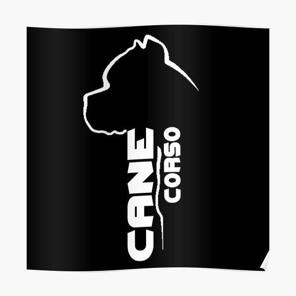 cane corso stuff
