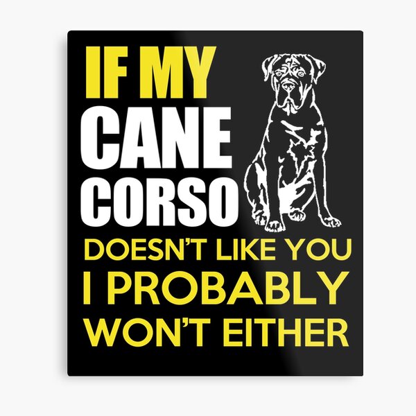 cane corso stuff