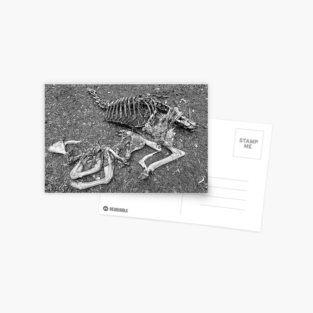 Recycling Postcard