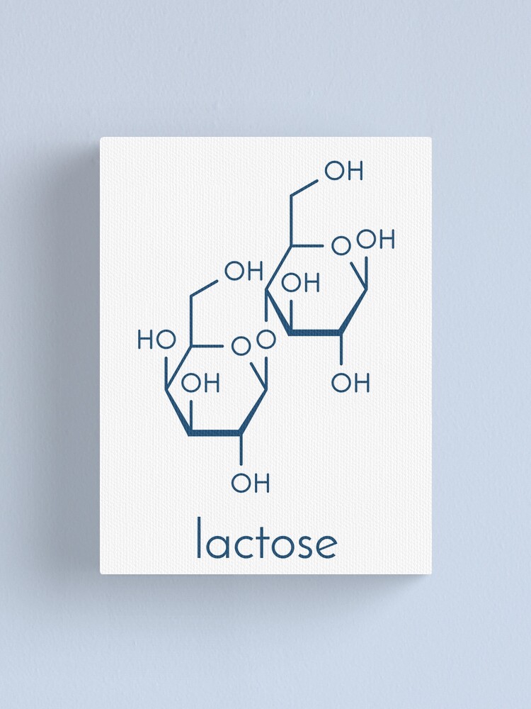 lactose formula