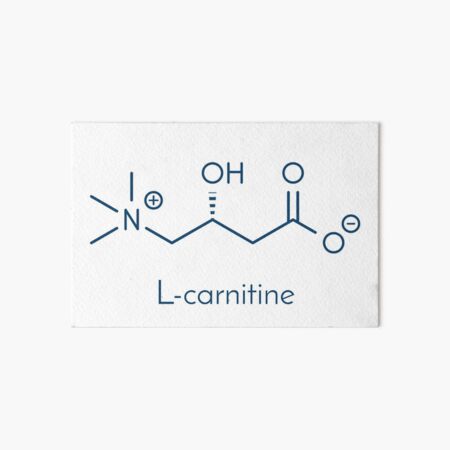 Carnitine food supplement molecule.