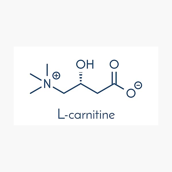 Carnitine food supplement molecule." Photographic Print for Sale by  molekuul | Redbubble
