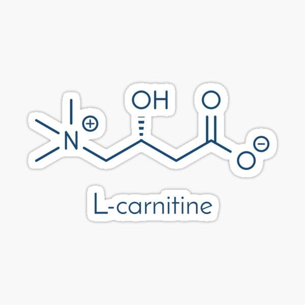 cga and l carnitine and egcg Carnitine food supplement molecule.