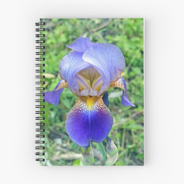 Artikelvorschau, Erste Iris entworfen und verkauft von Frankie Cat Photography.