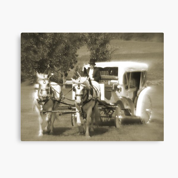 Drawn...to me Canvas Print