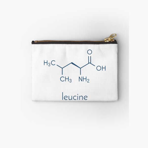 Item preview, Leucine (l-leucine, Leu, L) amino acid molecule.  designed and sold by molekuul.