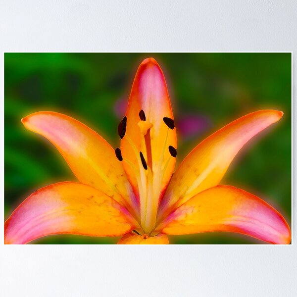 Item preview, Garden Lily designed and sold by TwinPowerTammy.