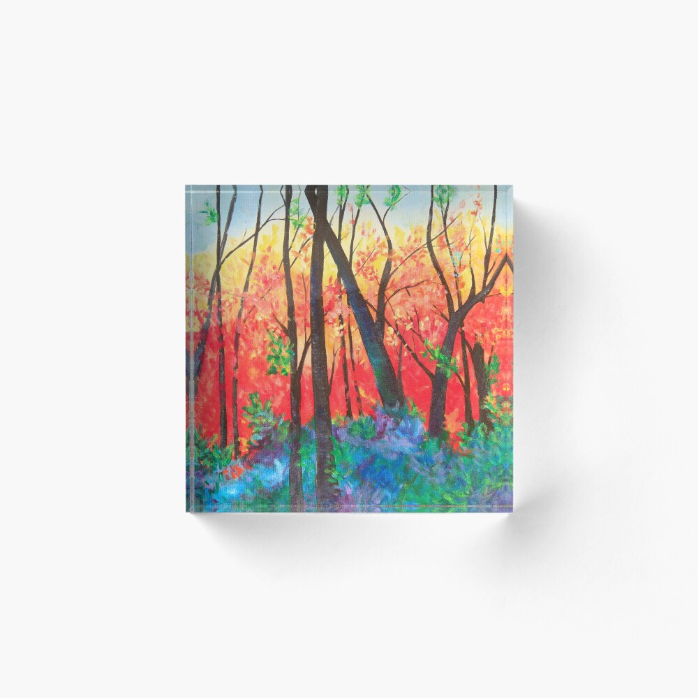 Item preview, Acrylic Block designed and sold by WildColor.