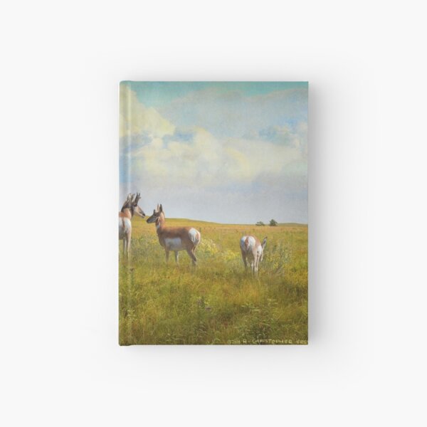 kansas pronghorn on flowered prairie Hardcover Journal