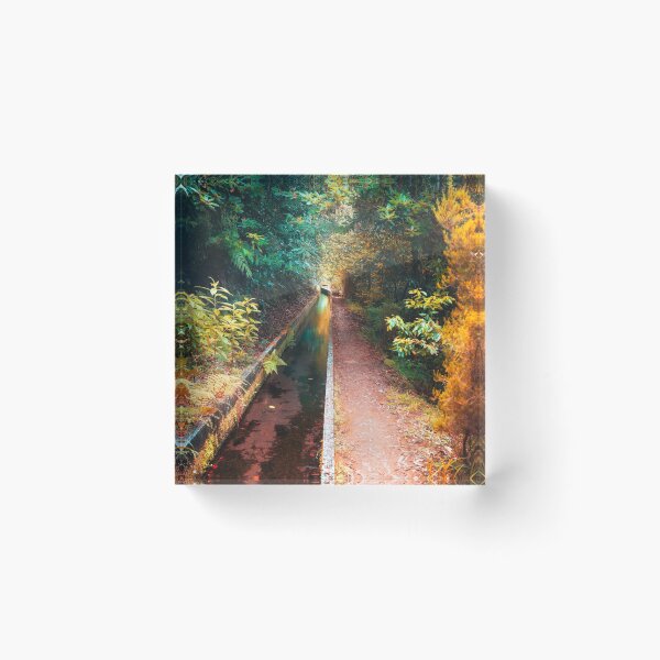 Item preview, The Trail designed and sold by ADphoto.