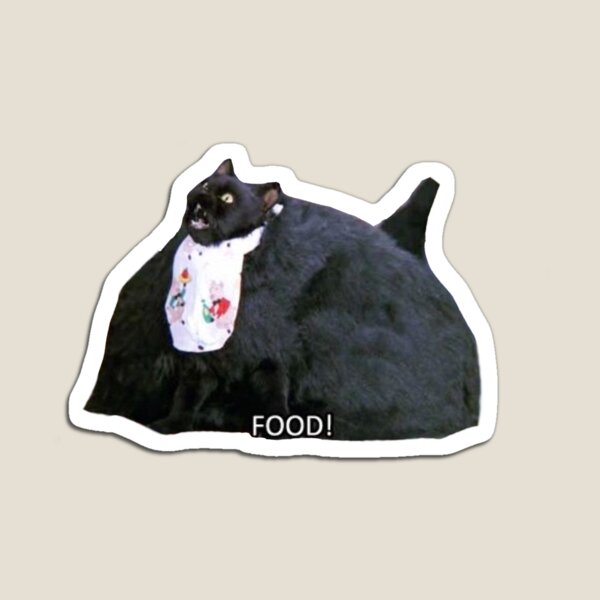 salem Magnet