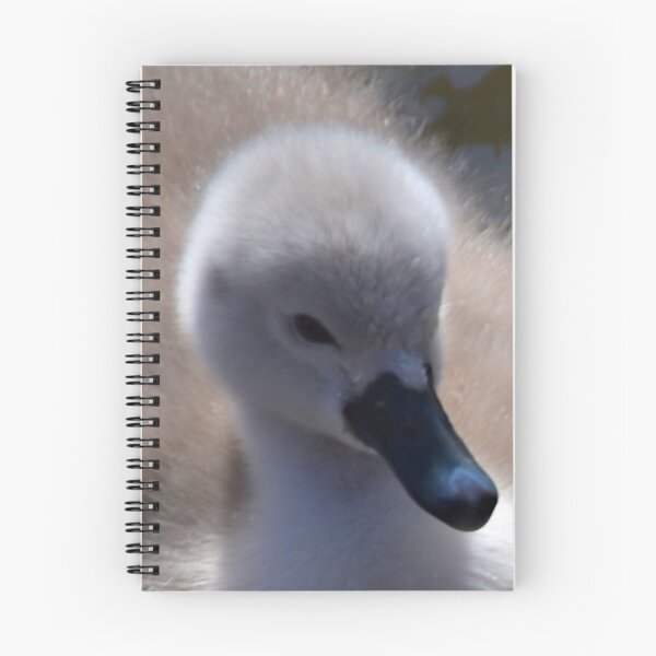 Item preview, Isn't  she Lovely .........Abbotsbury,Dorset uk designed and sold by lynn carter.