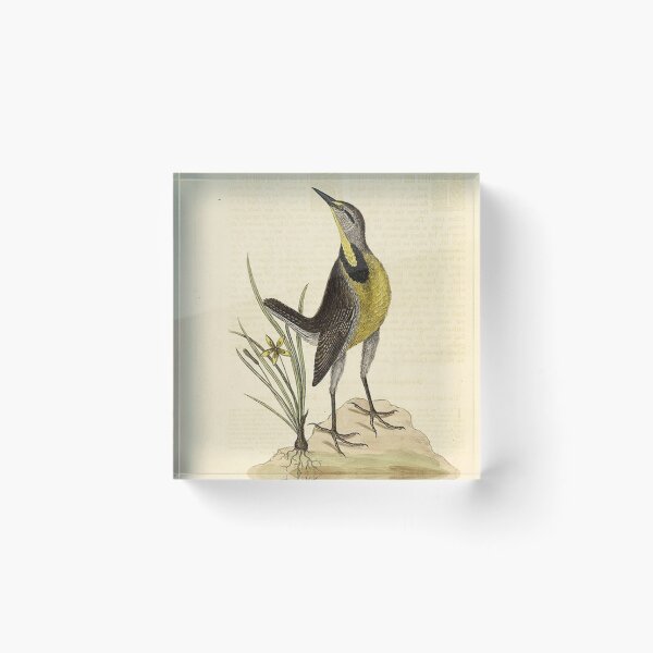 Item preview, Vintage picture from the 1800’s bird standing next to a grass plant designed and sold by Epic Splash Creations.