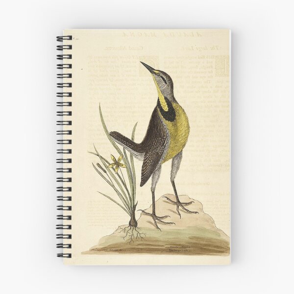 Item preview, Vintage picture from the 1800’s bird standing next to a grass plant designed and sold by Epic Splash Creations.