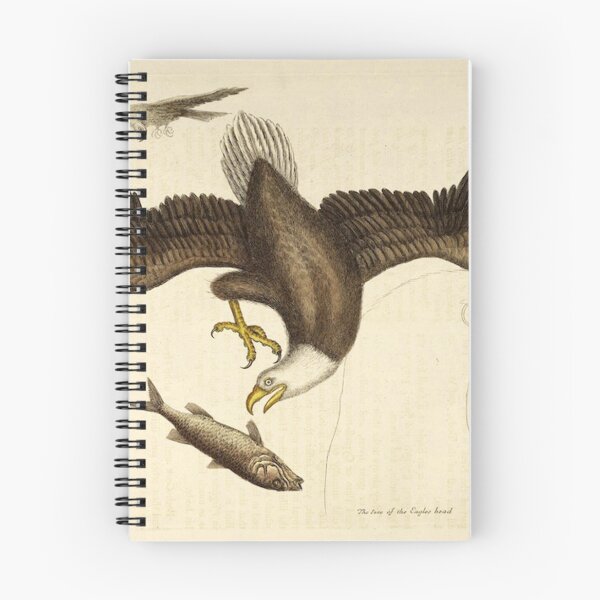 Item preview, Vintage reprint from the 1800’s bird catching a fish designed and sold by Epic Splash Creations.