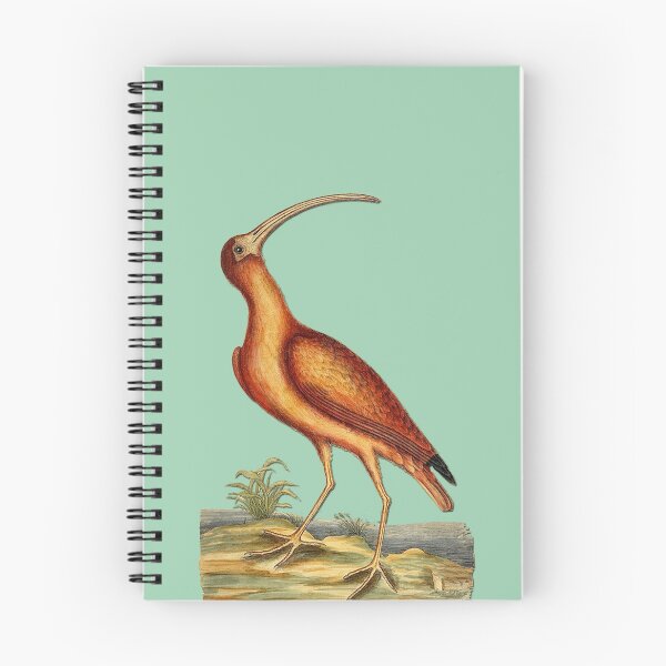 Item preview, Cut out reprint of a vintage sketch bird from the 1800’s designed and sold by Epic Splash Creations.