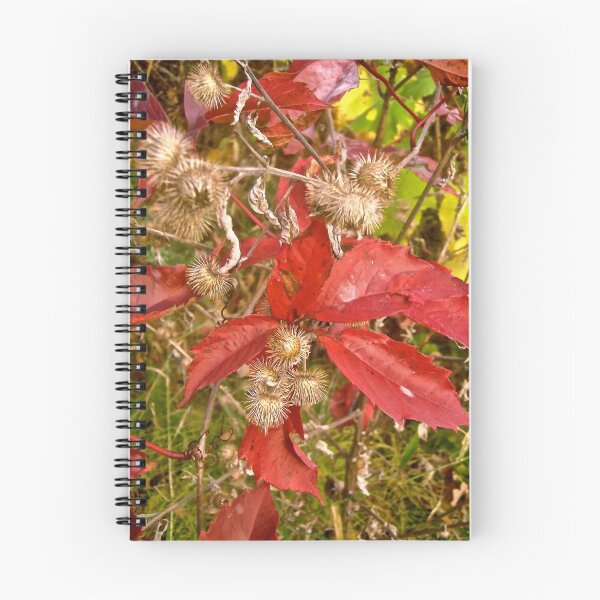 Item preview, Burrs and Red Leaves designed and sold by Shulie1.