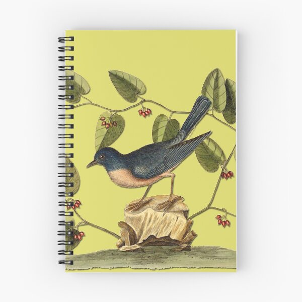 Item preview, Reprint of a vintage picture from the 1800’s bird and berries designed and sold by Epic Splash Creations.