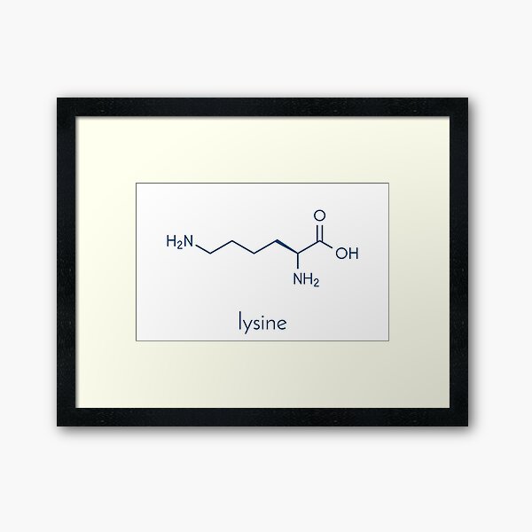 Lysine (l-lysine, Lys, K) amino acid molecule. Skeletal formula. Framed Art Print
