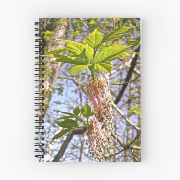Item preview, New Leaves - All Products designed and sold by Shulie1.