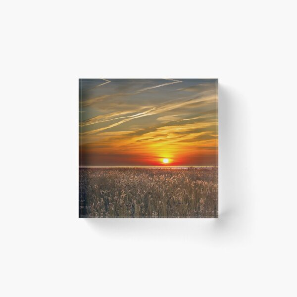 Item preview, Sunrise over seedheads designed and sold by Geoff Carpenter.