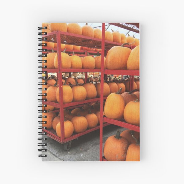 Aperçu de l'œuvre Citrouilles créée et vendue par melissasiera.