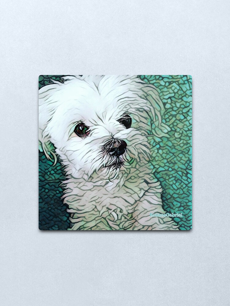 Lamina Metalica Piel Del Bebe Fluffy Maltes Blanco Perro Blanco Perro Lindo Cachorro Maltes Cosas De Perro Lindo Cosas De Perro Artistico Cosas De Mascotas Bolso Para Perros De Roxanegabriel Redbubble