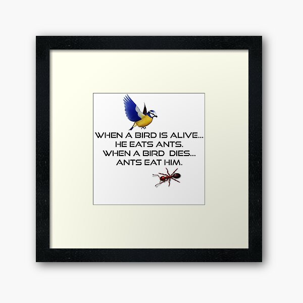 When a bird is alive Gerahmter Kunstdruck