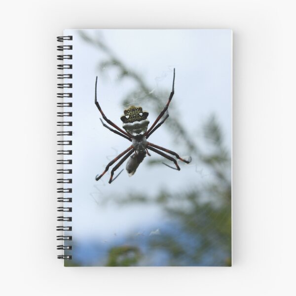 Item preview, Orb Weaver Spider and Prey designed and sold by rhamm.
